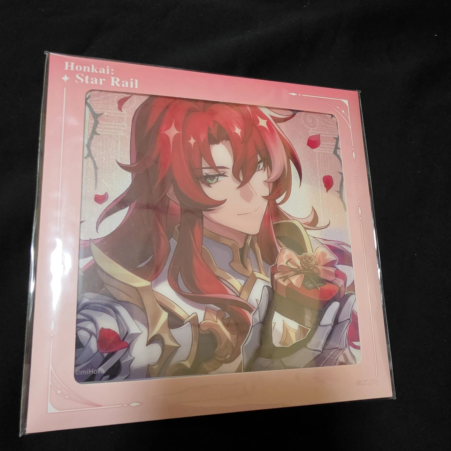 Honkai: Star Rail Acrylic Standee