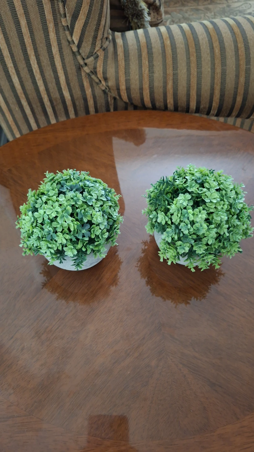 Two small artificial potted plants