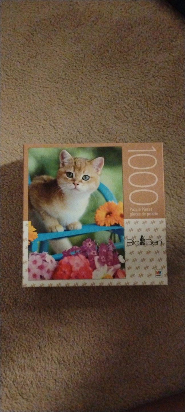 Kitten on Blue Chair 1000 Piece Puzzle
