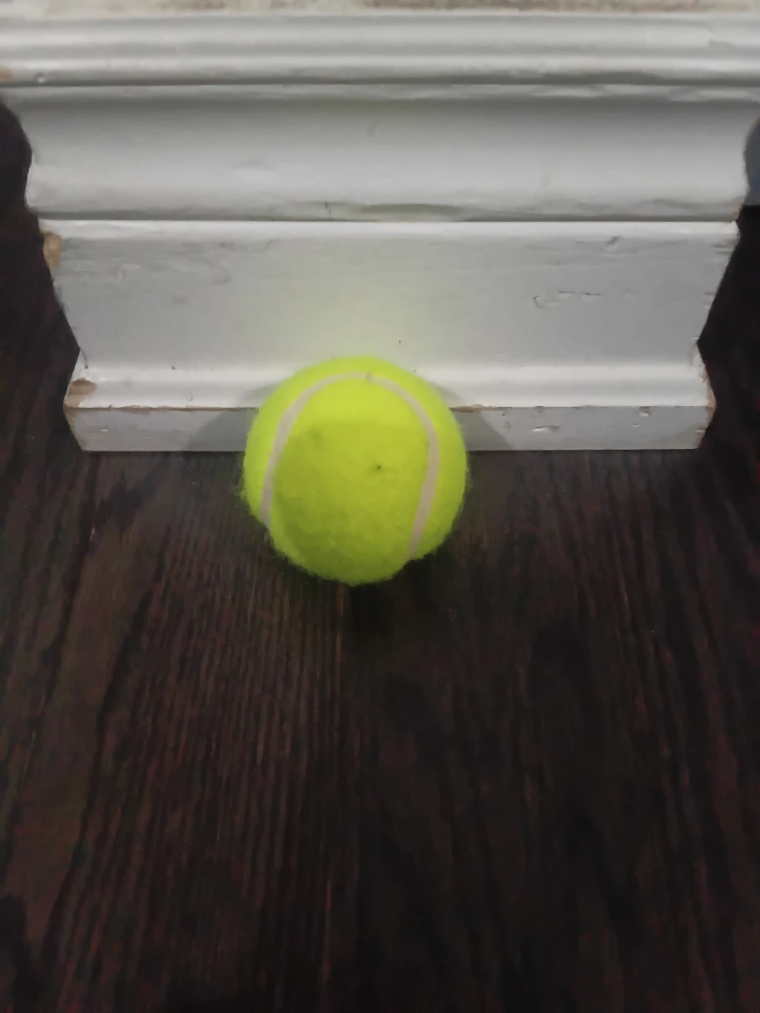 Wilson Tennis Ball