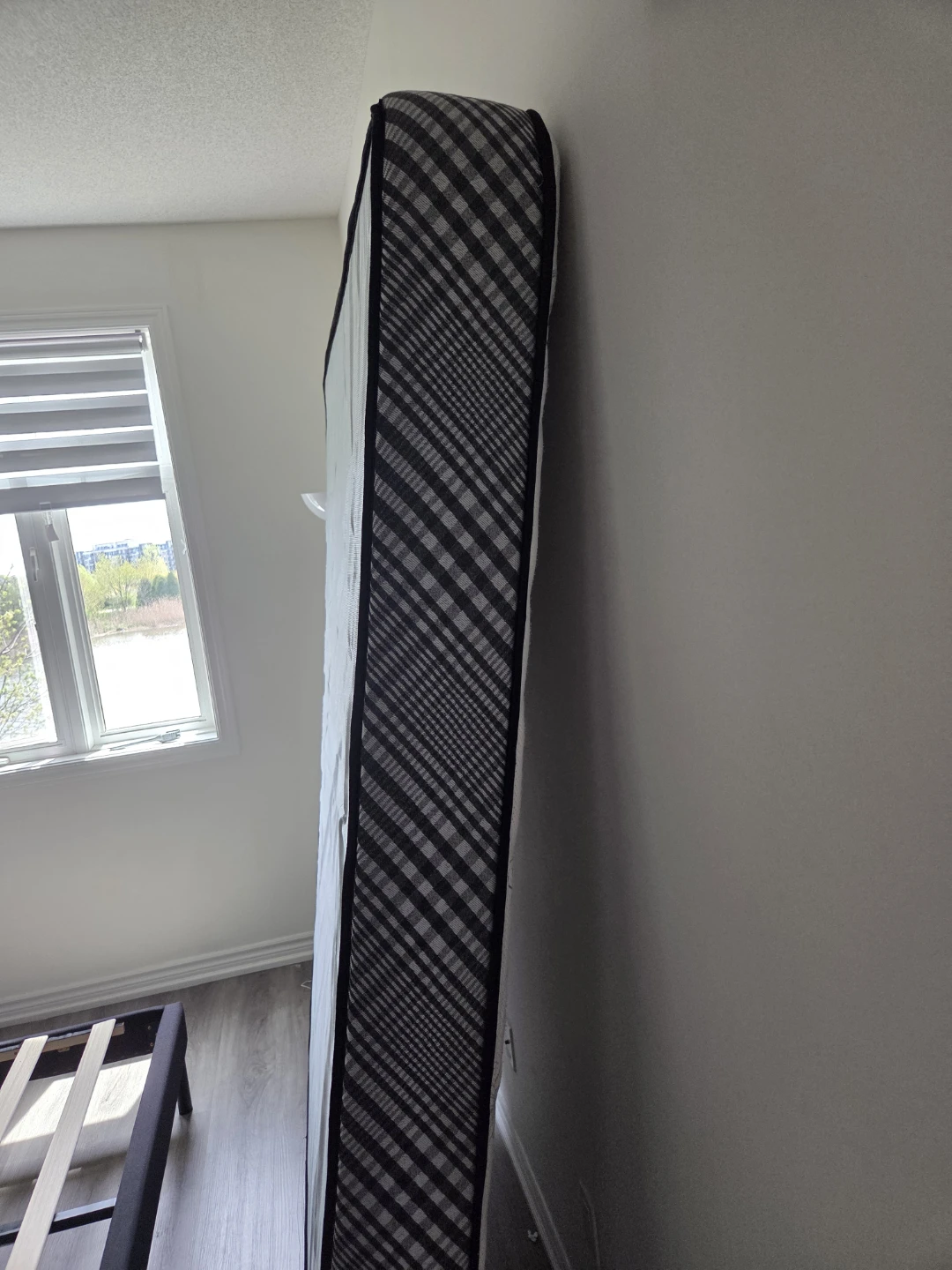 Free Queen Mattress - photo 3