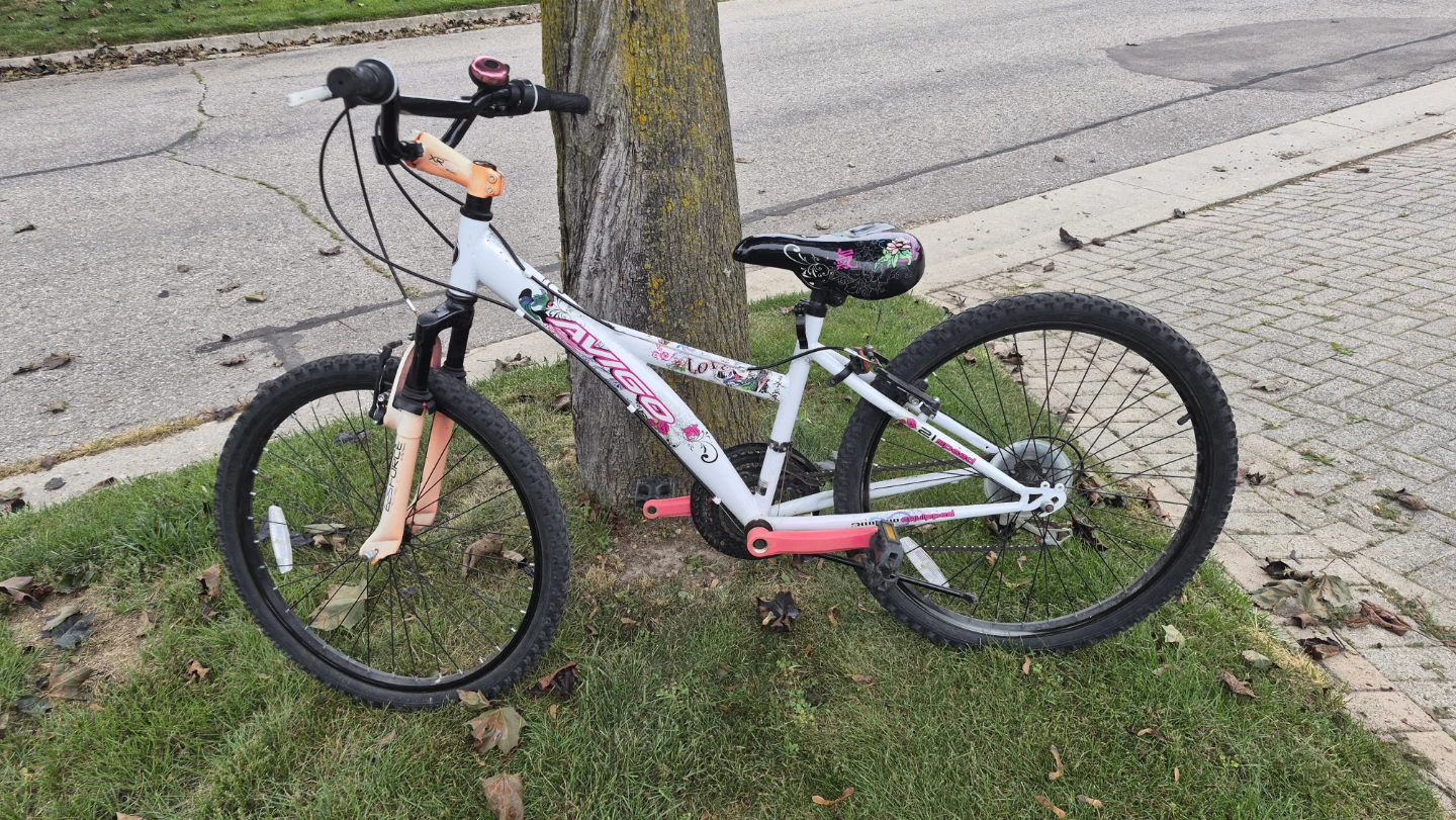 Avigo girls 21 speed bike with 24 inch wheels. - photo 2