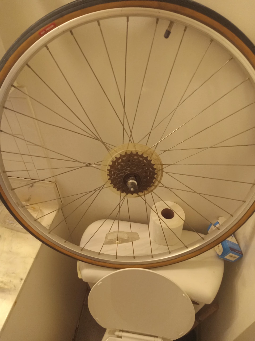 Bicycle Rear Wheel with Cassette