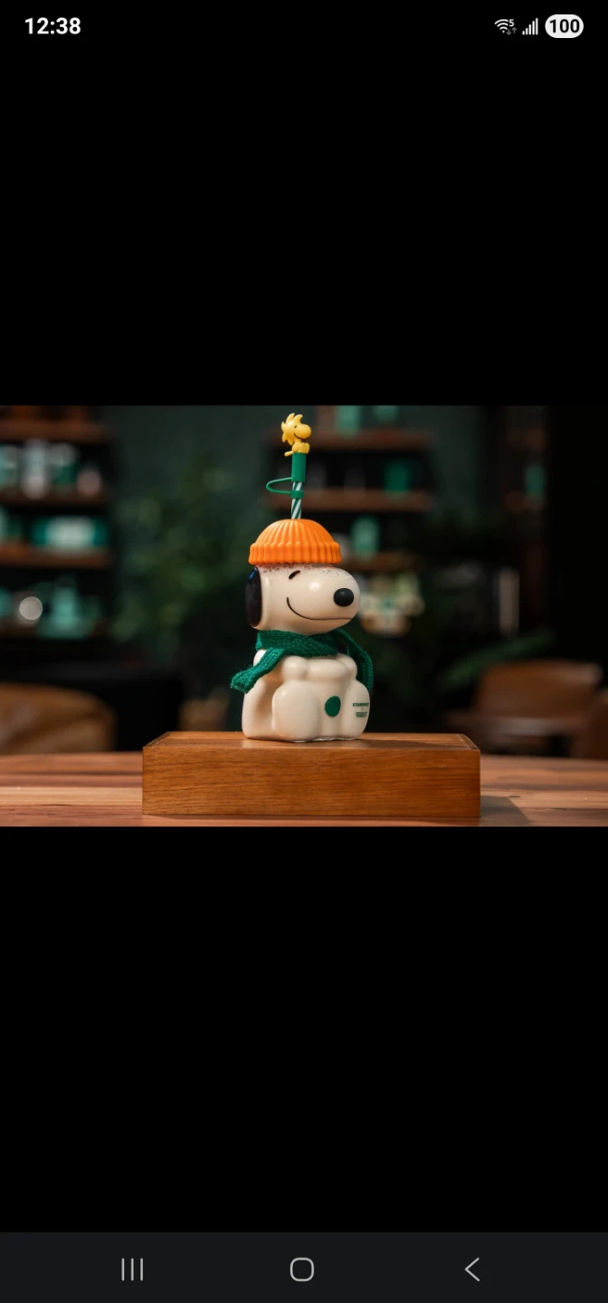 Starbucks Peanuts Snoopy Cold Cup