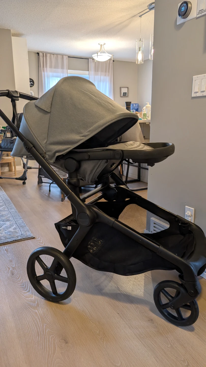 Bugaboo Kangaroo Complete Stroller - photo 4