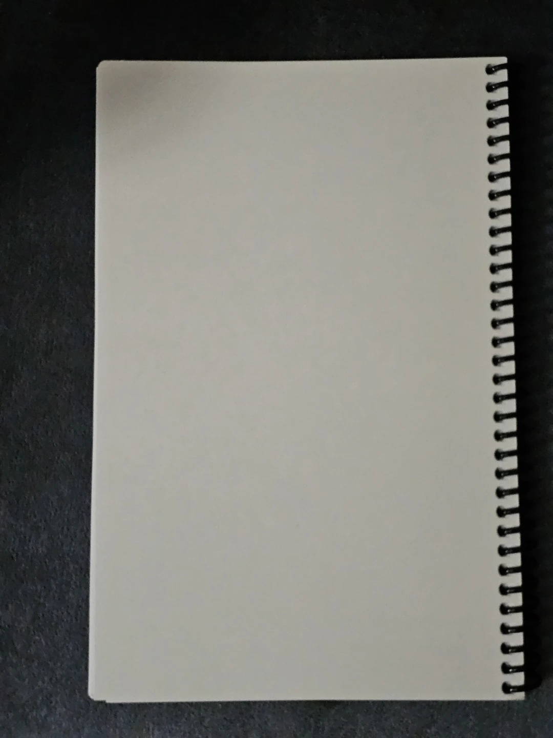 Baba's Cook Book Volume 1 - photo 3