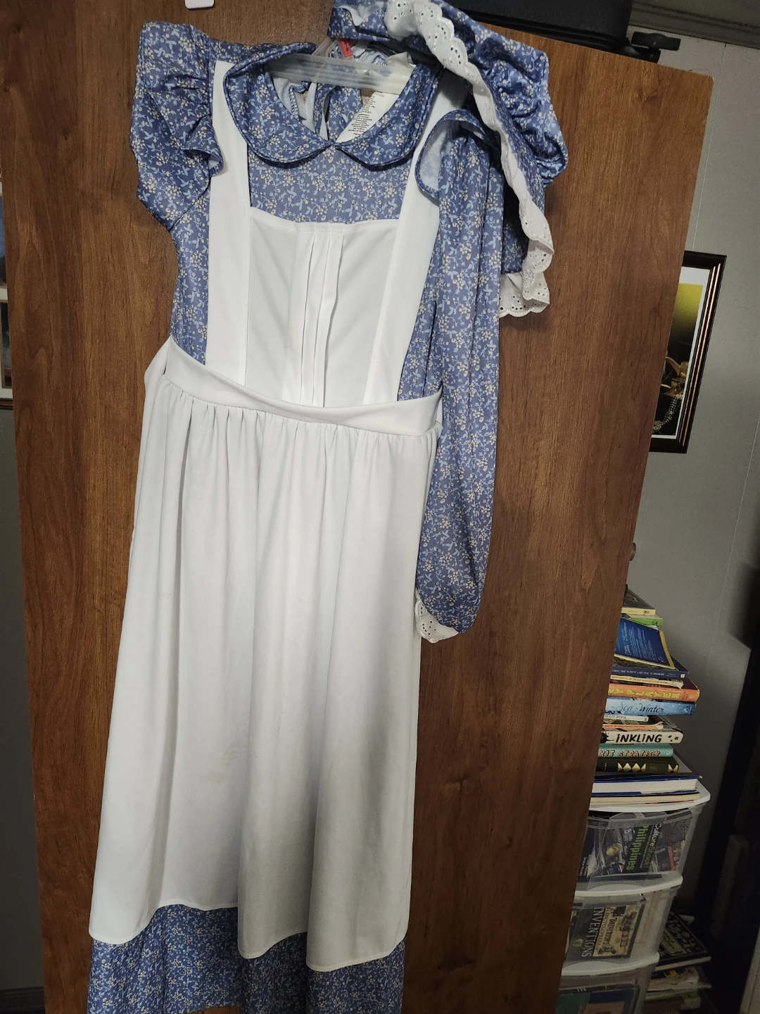 California Costumes Pioneer Girl Costume with Bonnet - photo 5