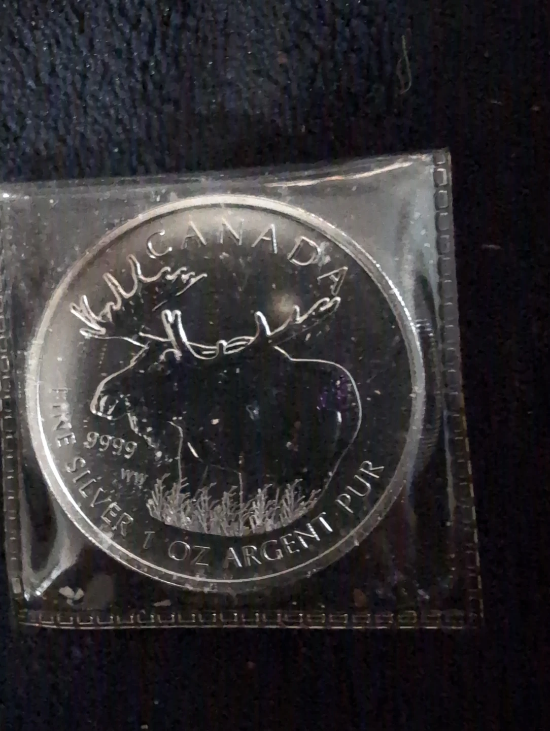 2012 Royal Canadian Mint 1 oz Moose Silver Coin