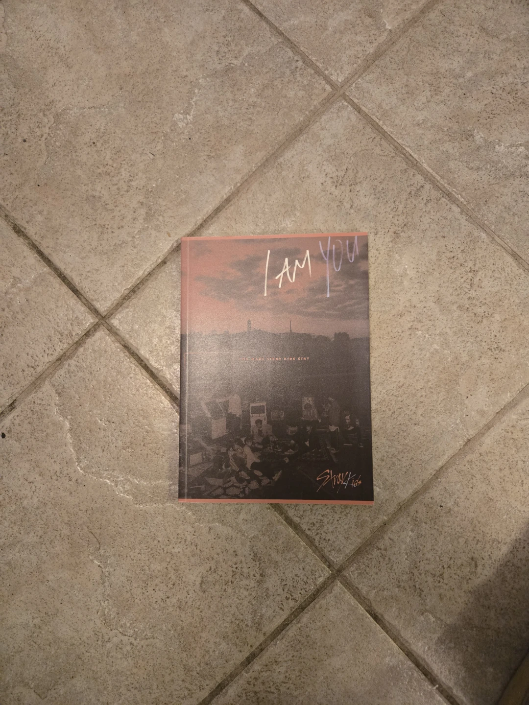 Stray Kids I Am YOU Album