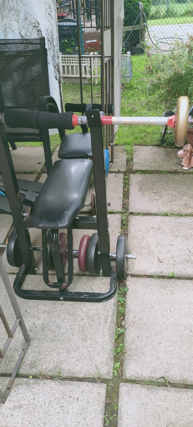 Weider Weight Bench and Weights Set