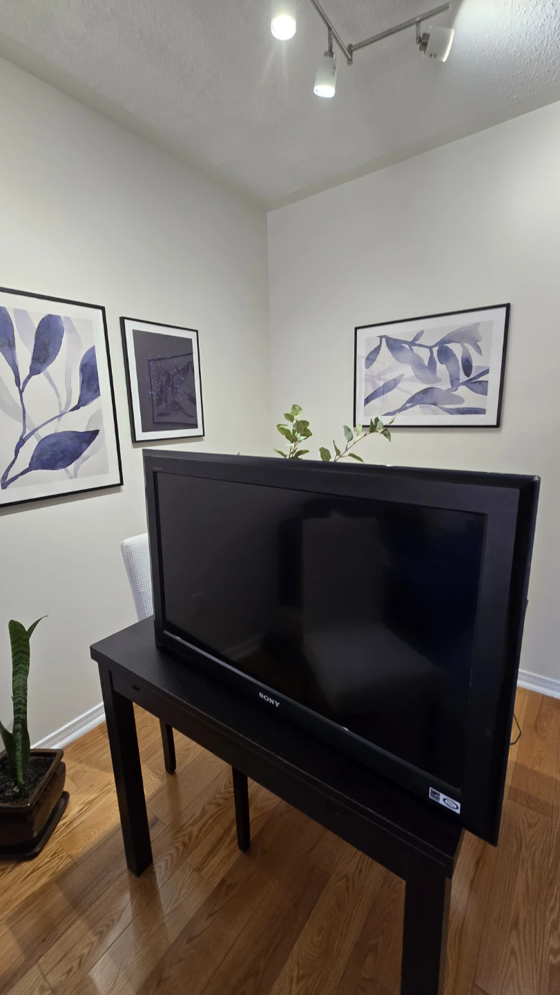 32" Sony Bravia TV