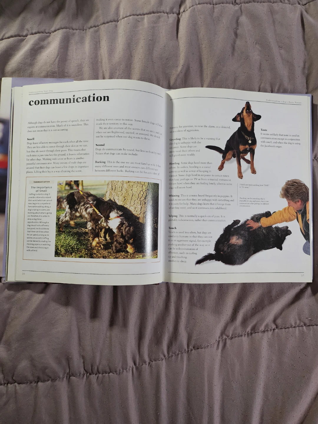 Understanding Your Dog Training Illustrated Guide Book - photo 4