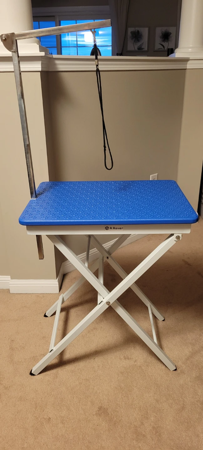 Dog grooming table (small)