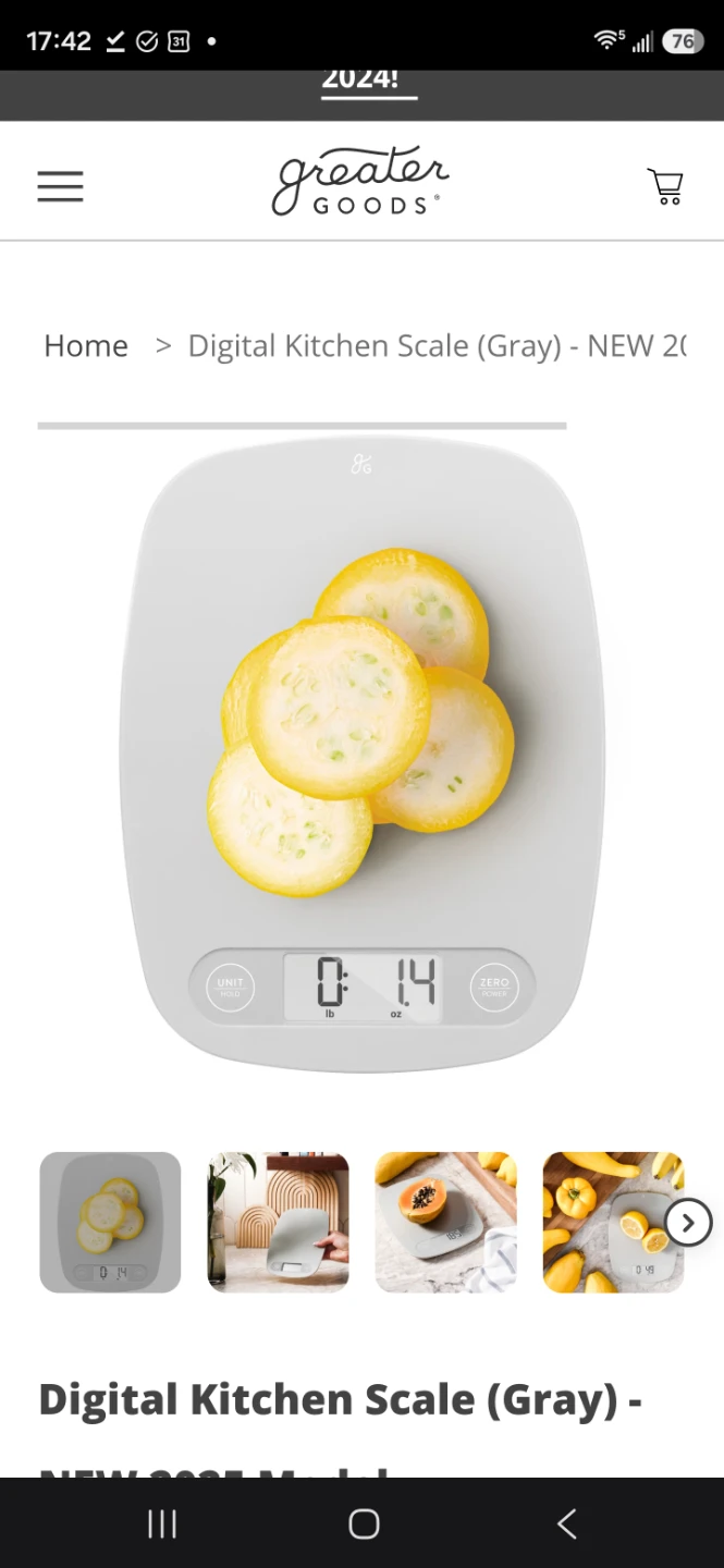 Greater Goods Digital Kitchen Scale in Gray