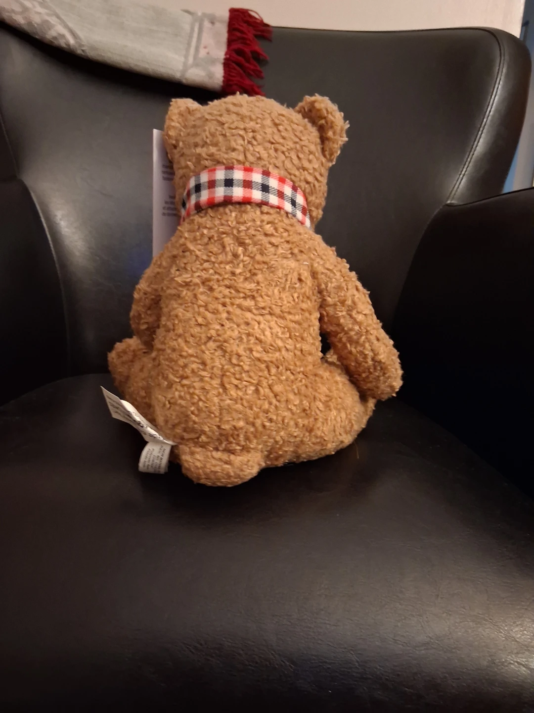 Share a Bear Plush Toy - photo 3