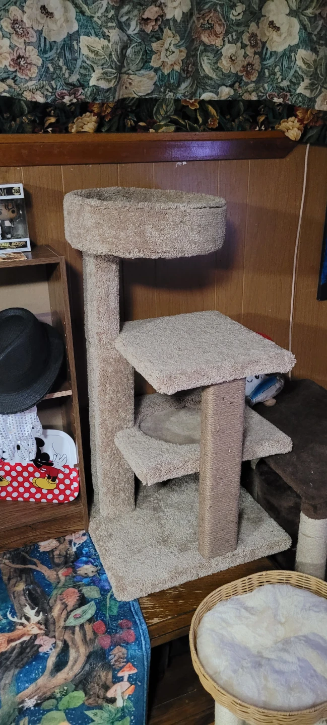Cat Tree
