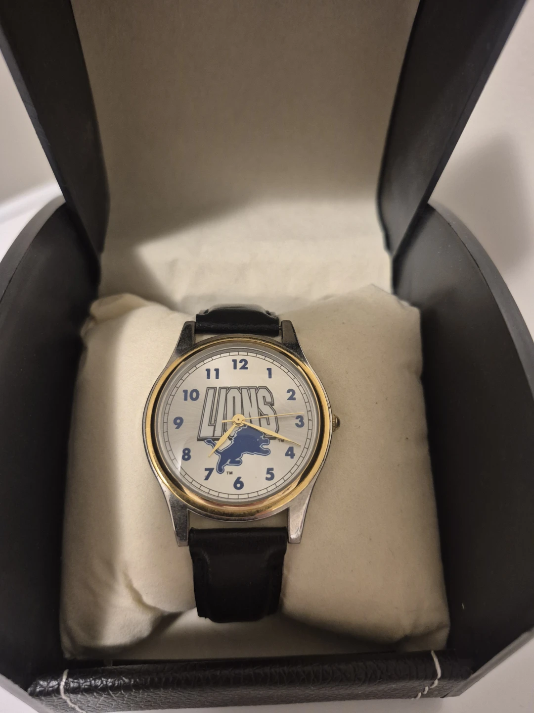 Detroit Lions NFL Watch 🏈