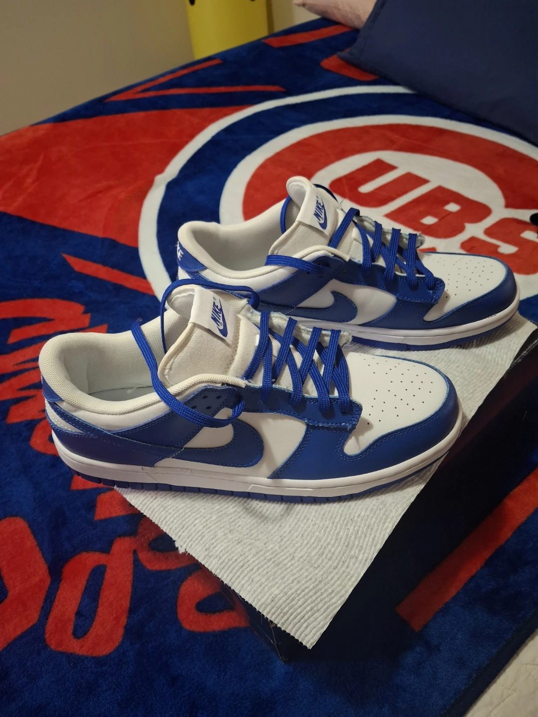 Nike Dunk Low Sneakers - photo 5
