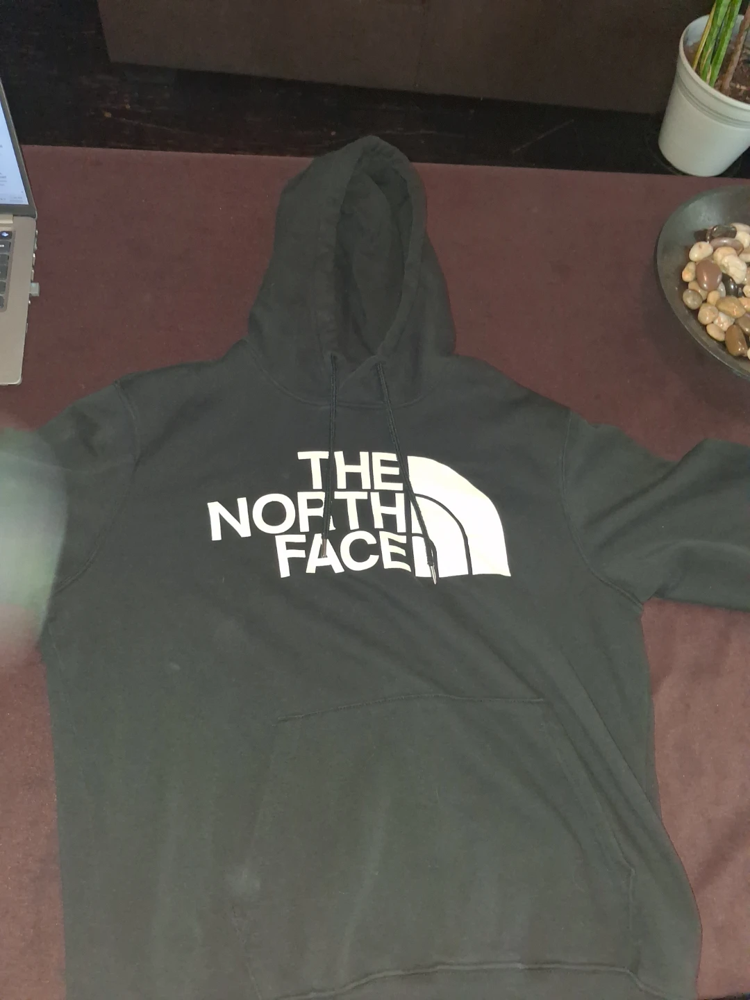 The North Face Hoodie