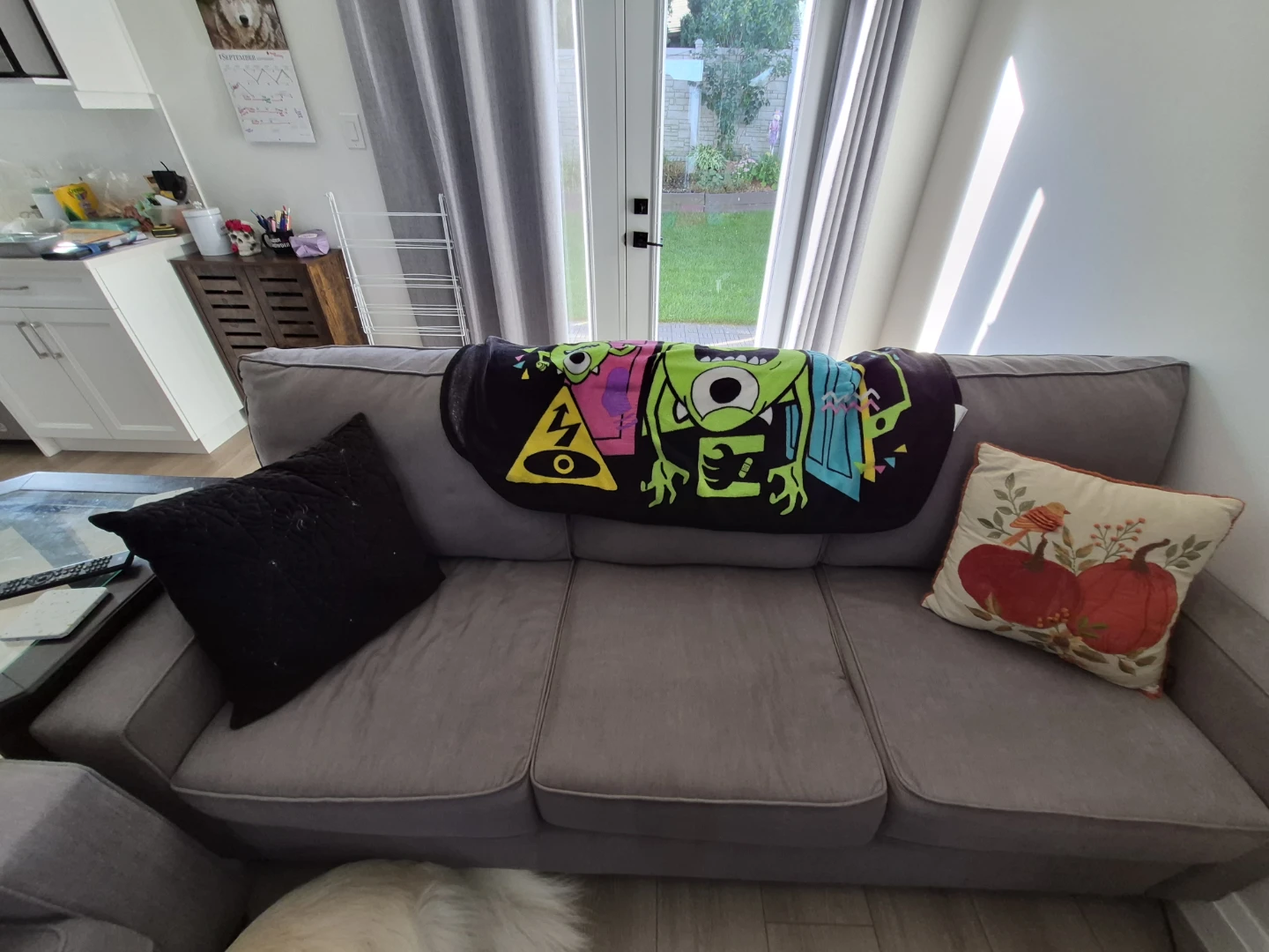 2 Grey Couches - photo 2