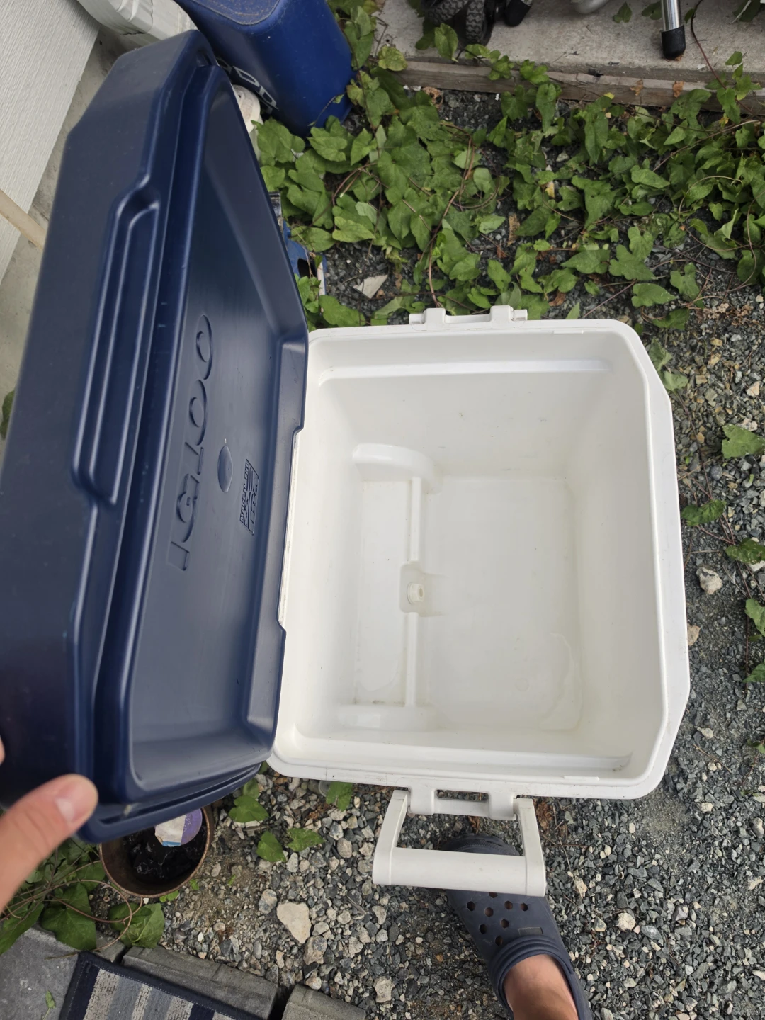 Igloo MaxCold Latitude 62 Roller Cooler - photo 3