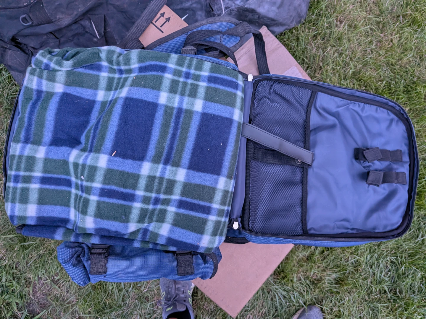 Ravinia Picnic Backpack - photo 2