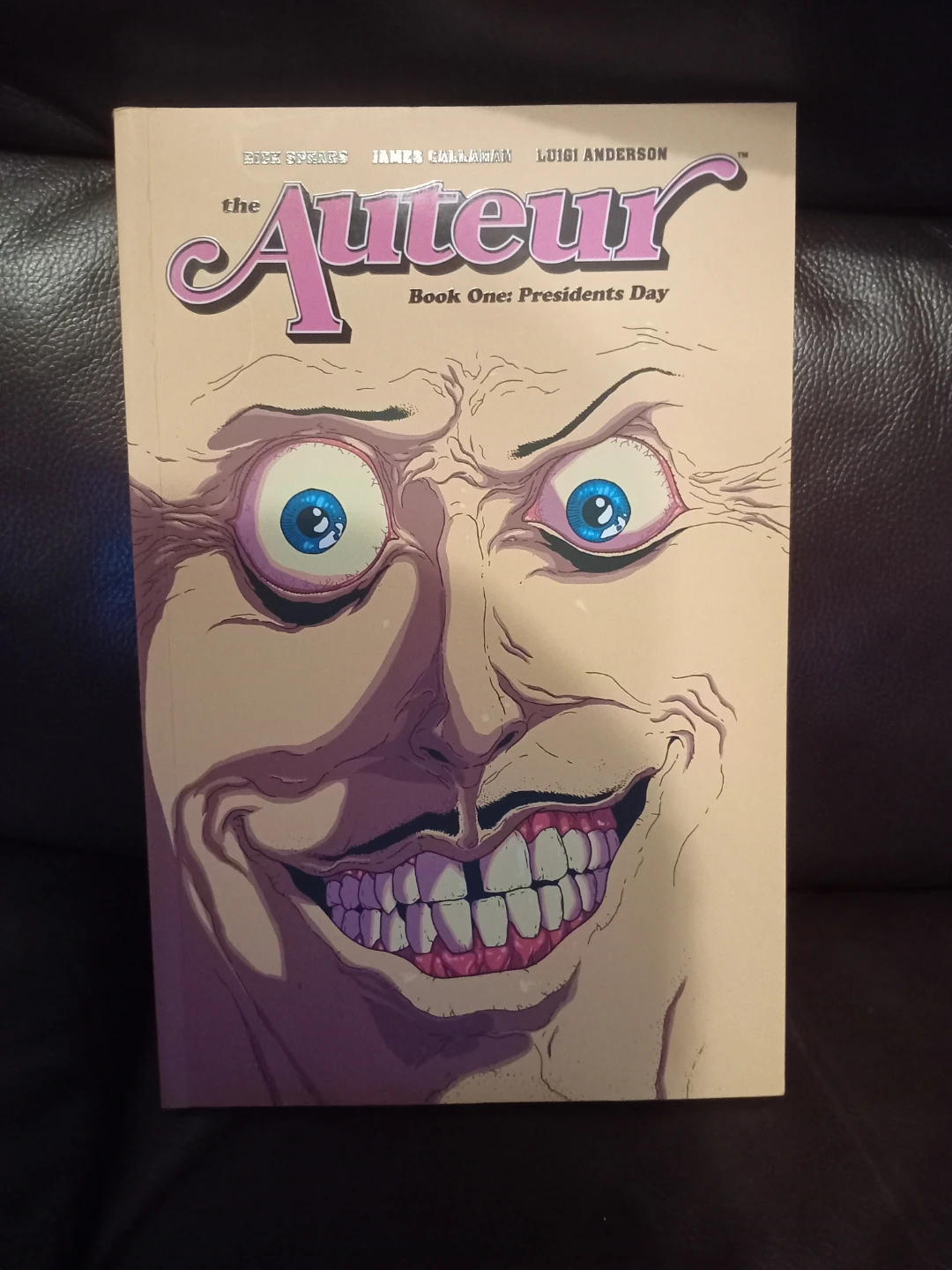 The Auteur Book One: Presidents Day Graphic Novel