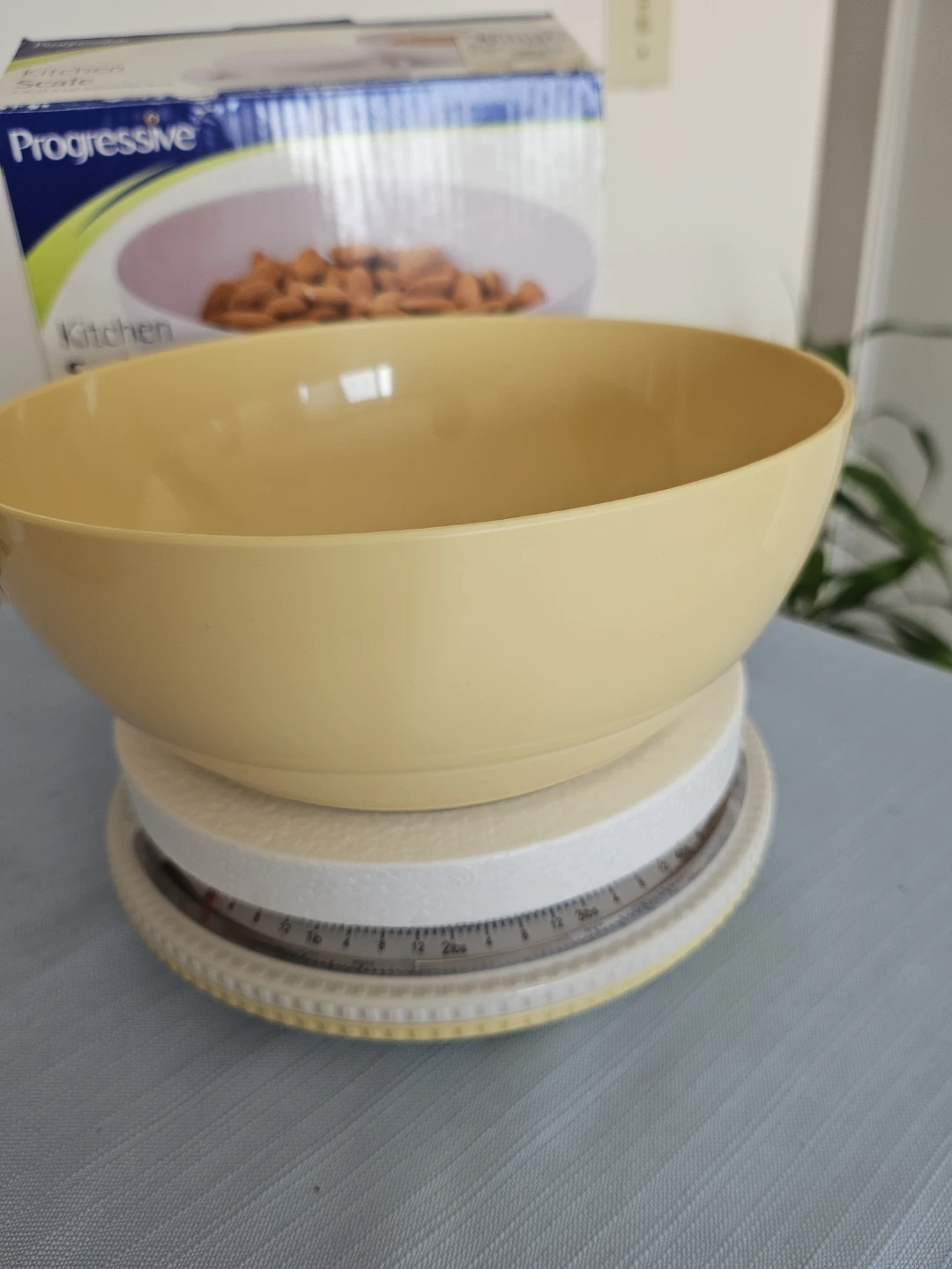 Progressive Kitchen Scale with Bowl