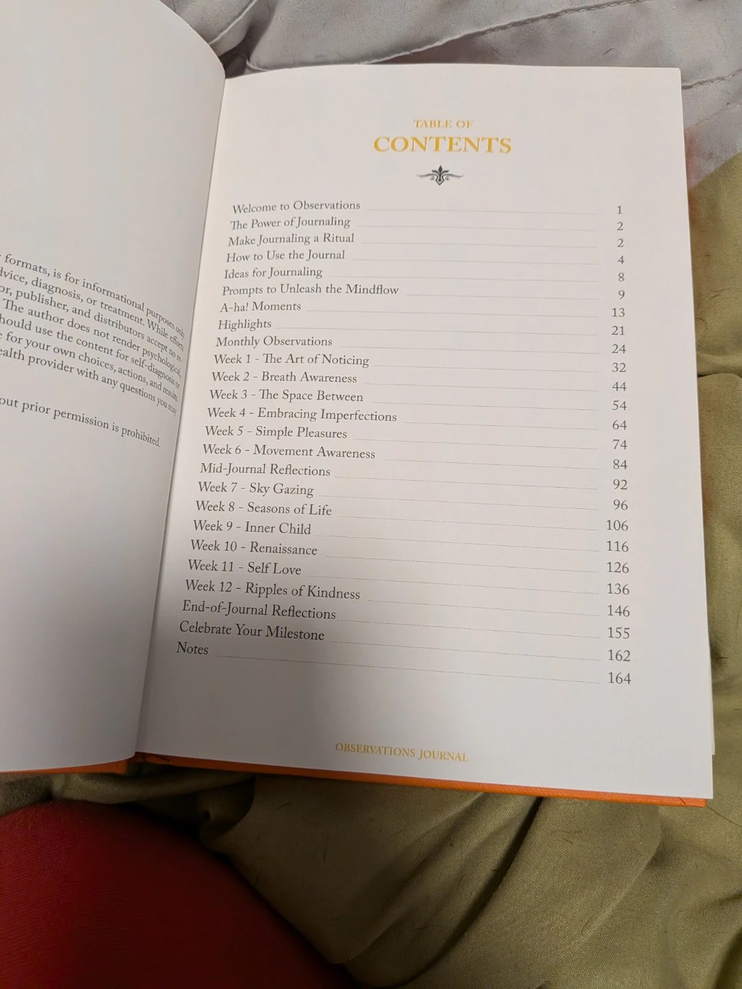 Observations Daily Gratitude Journal - photo 2