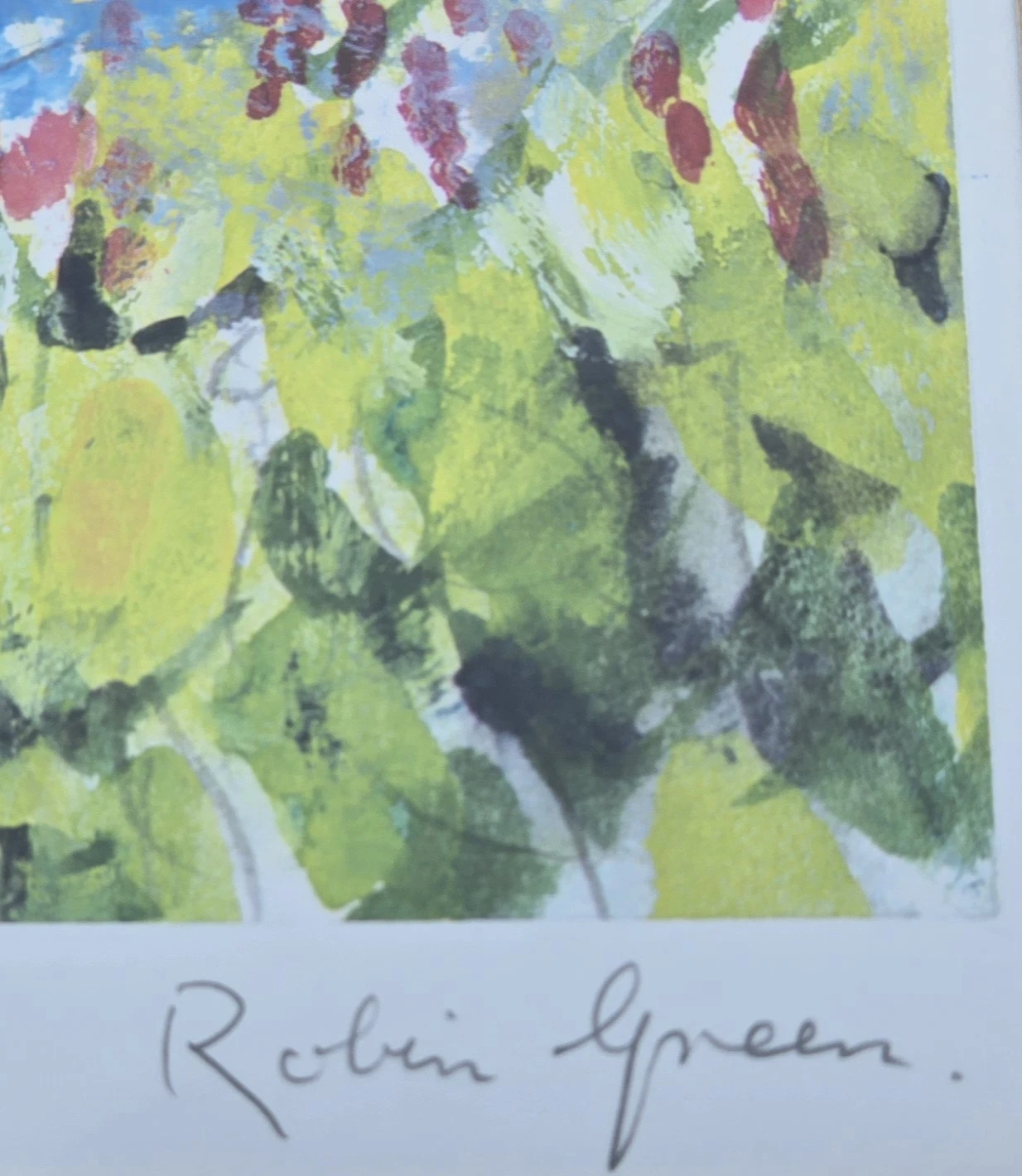 Robin Green 'Bridge of Dee' Framed Art Print - photo 4