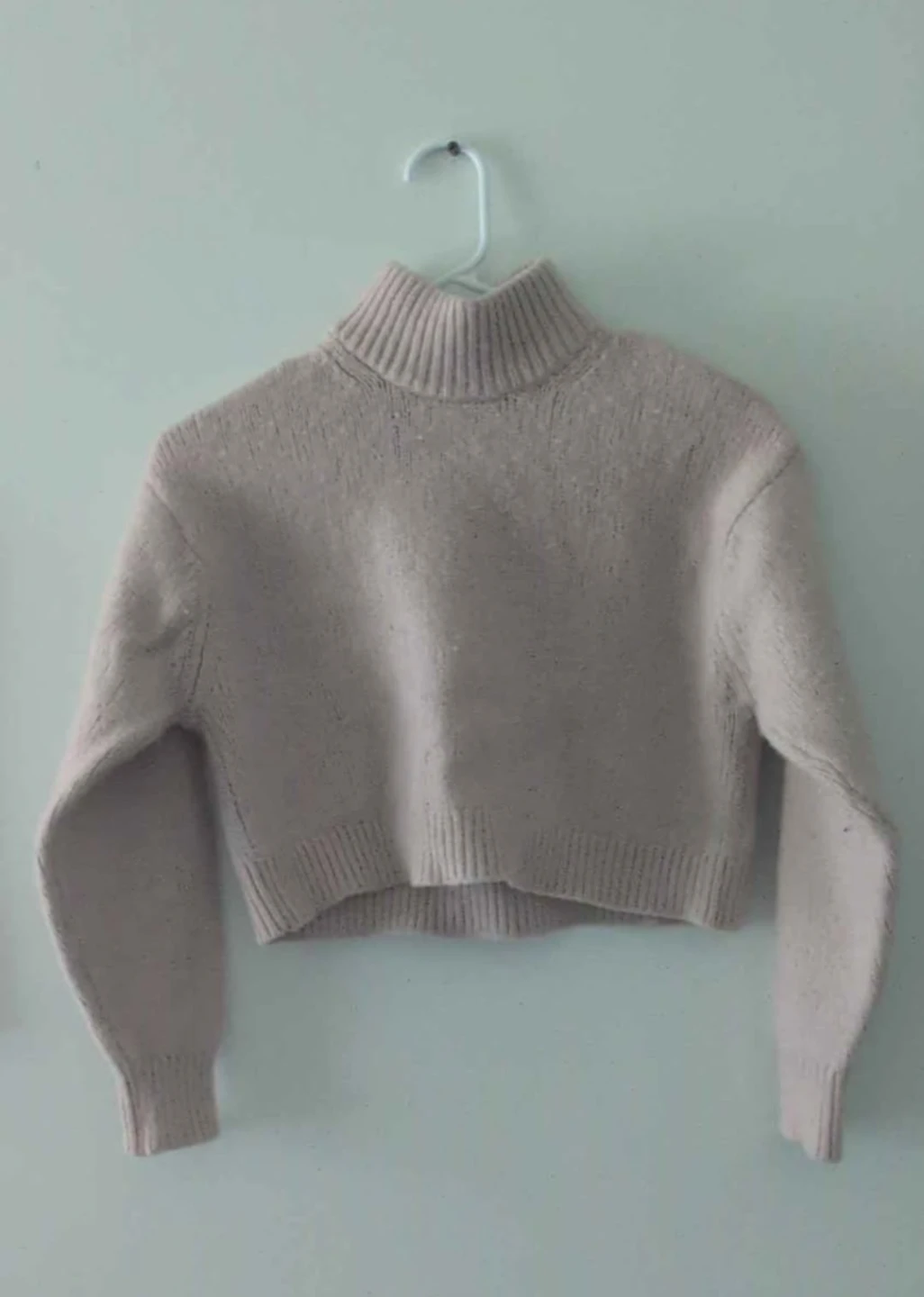 Light Beige Cropped Turtleneck Sweater
