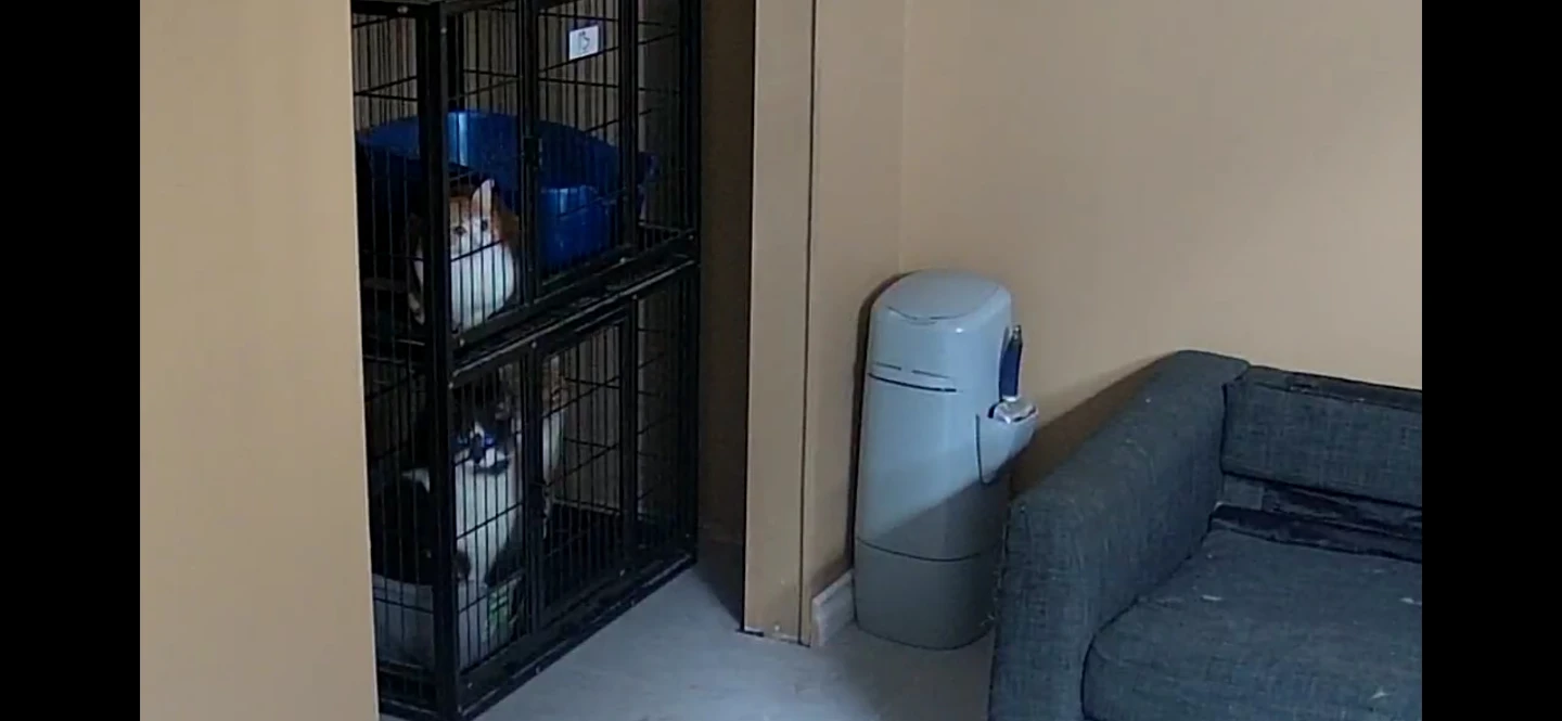 Two-Tier Stacked Wire Cat Cage