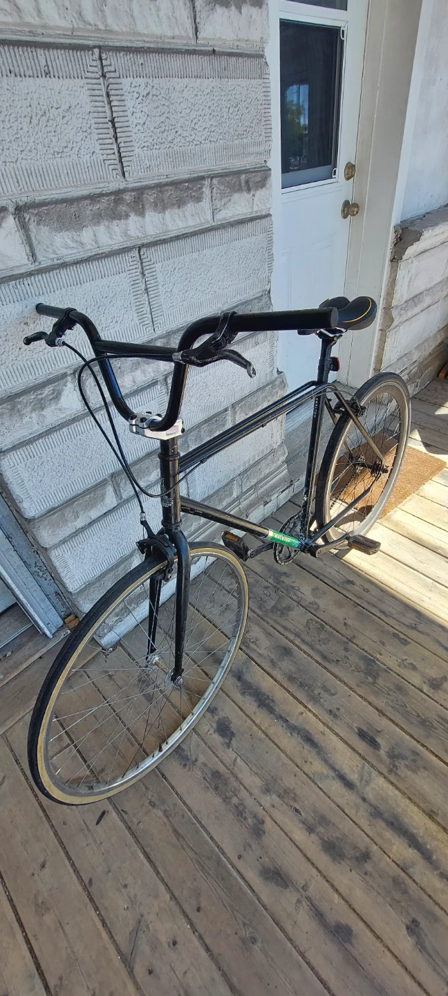 Raleigh Carlton Black Single Speed Bicycle - photo 5