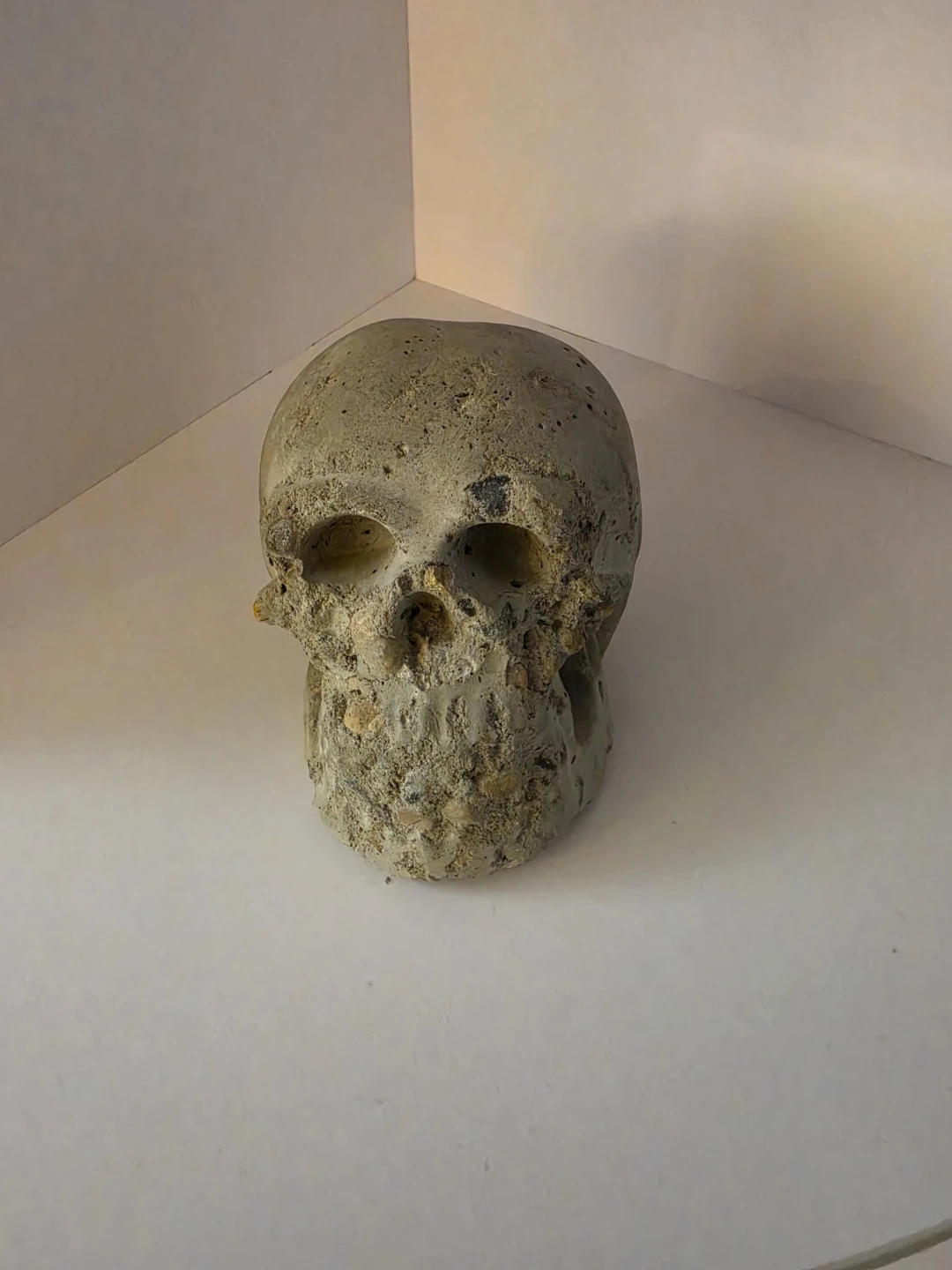 Decorative Concrete Skull Sculpture - photo 5