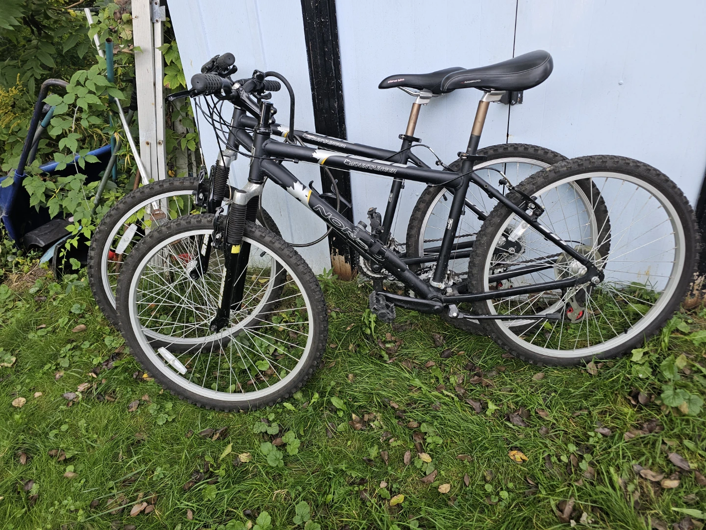 2x Norco Mountaineer Mountain Bike
