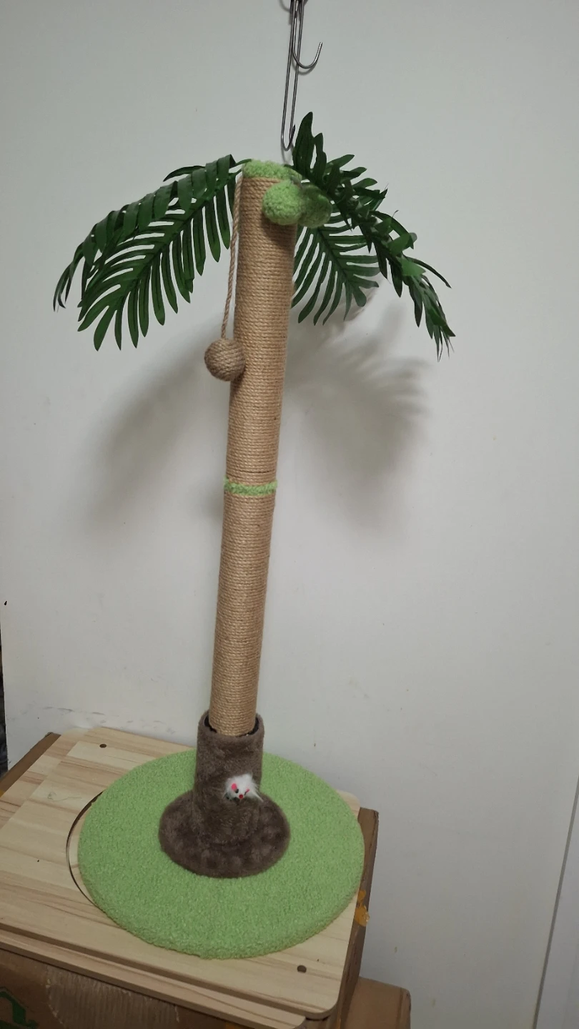 Palm tree cat scratching post 🏈