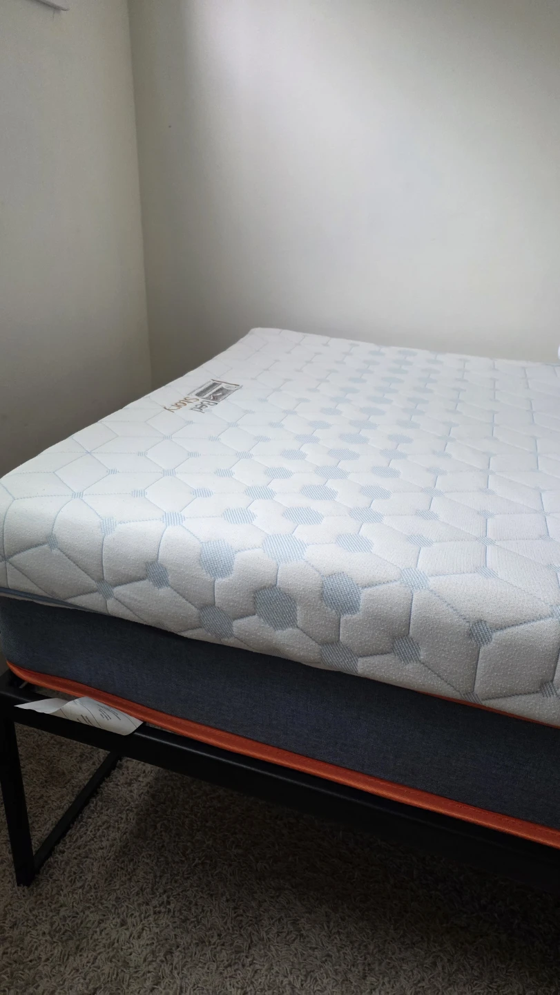 Bed  Twin Mattress and Metal Bed Frame