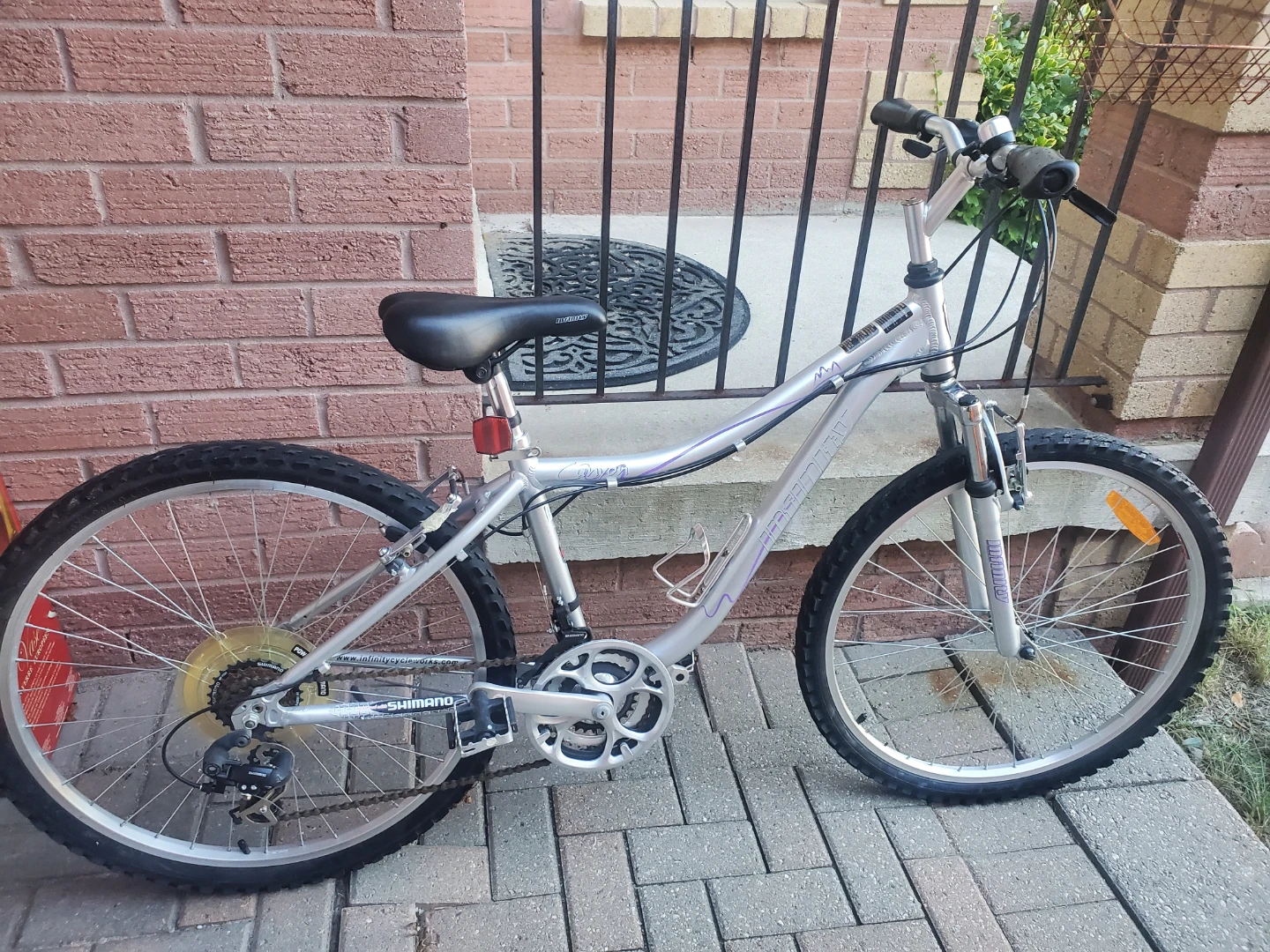 Infinity Canyon Mountain Bike - photo 2