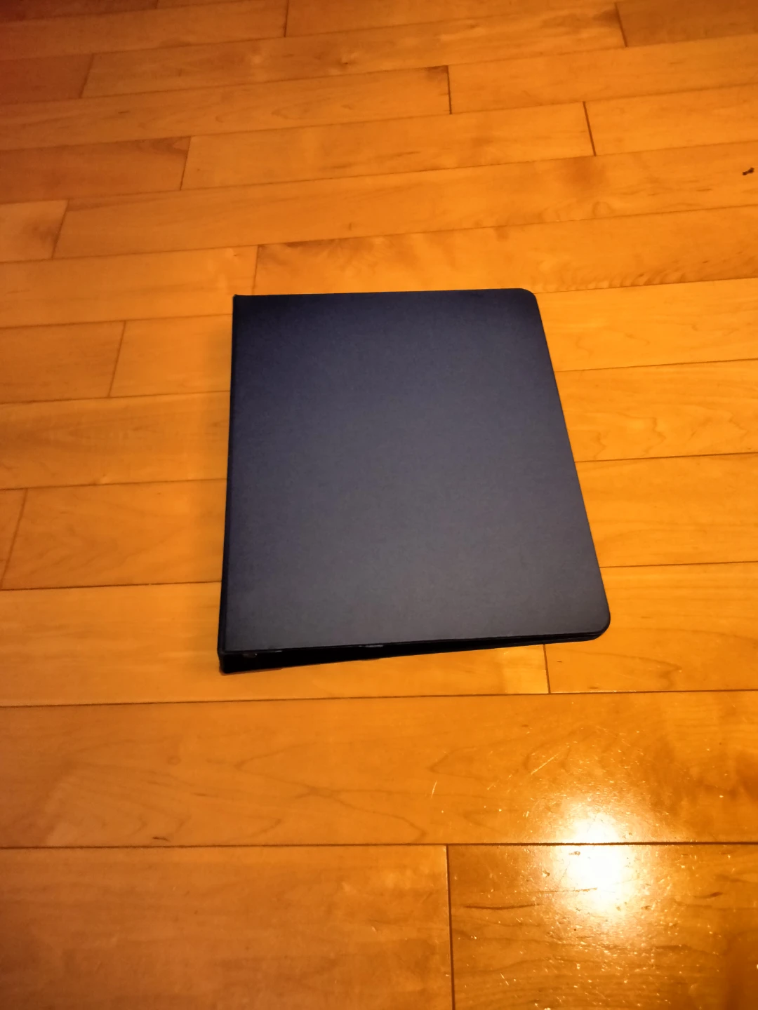 Blue Three-Ring Binder