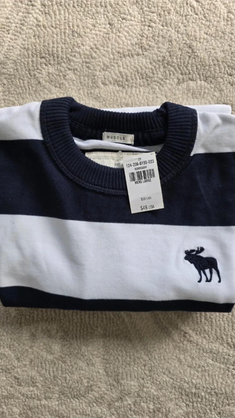 Abercrombie & Fitch Muscle Fit Striped T-Shirt