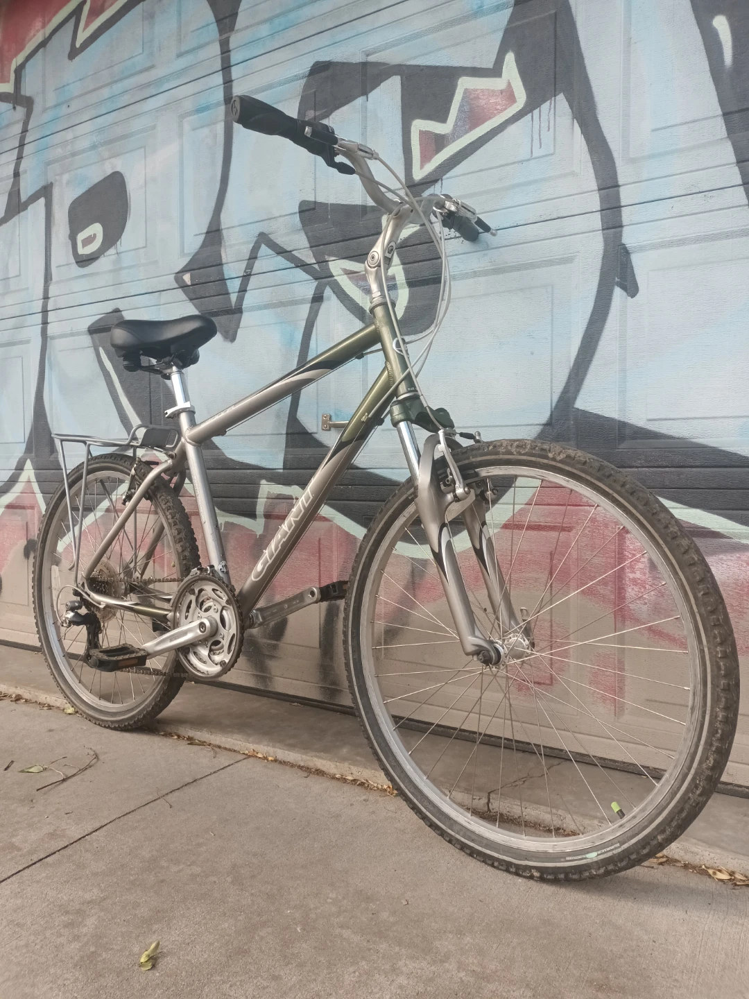 Giant Bike