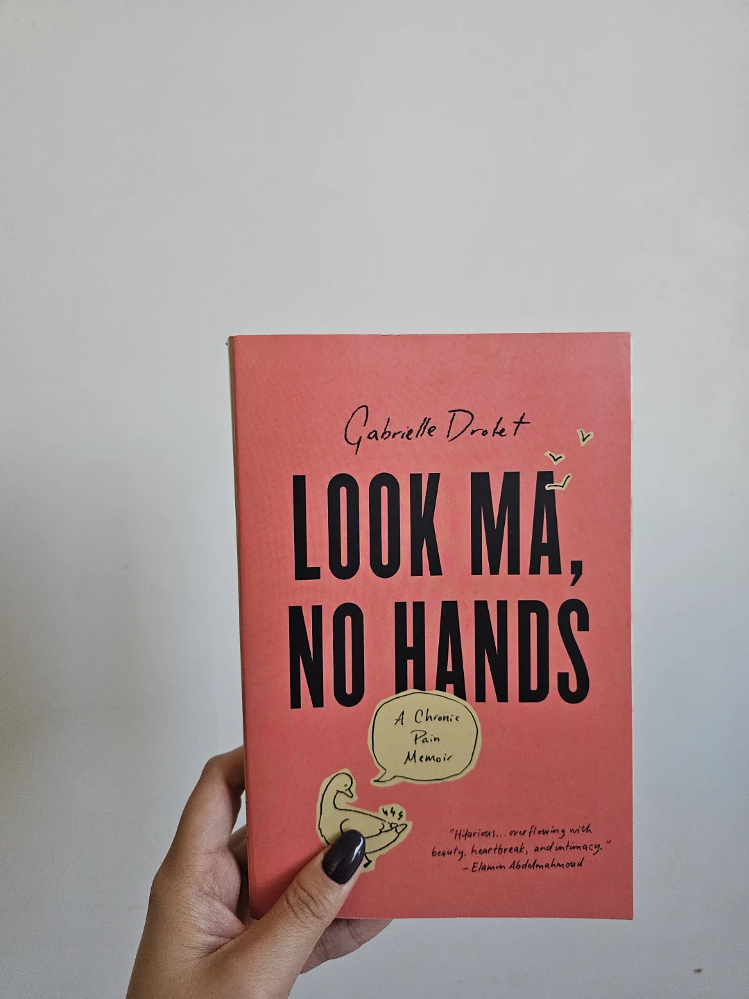 Book Look Ma, No Hands