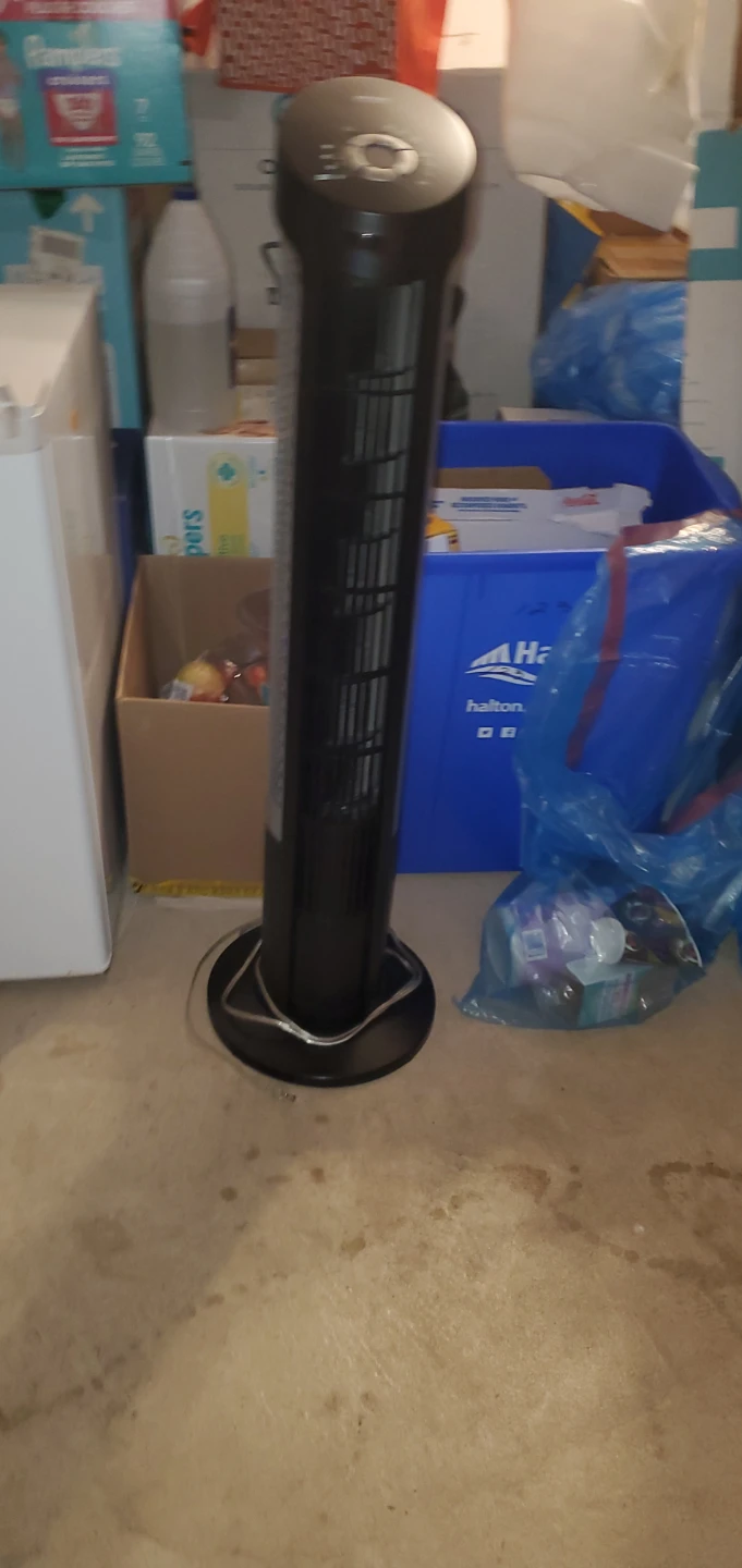 Holmes Tower Fan