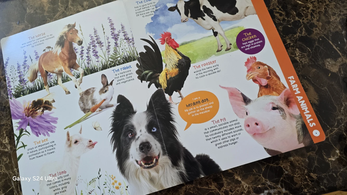 My Giant Animal Book Children's Book - photo 3