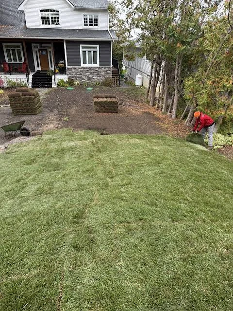 Lawn Service/Clean Up - photo 2