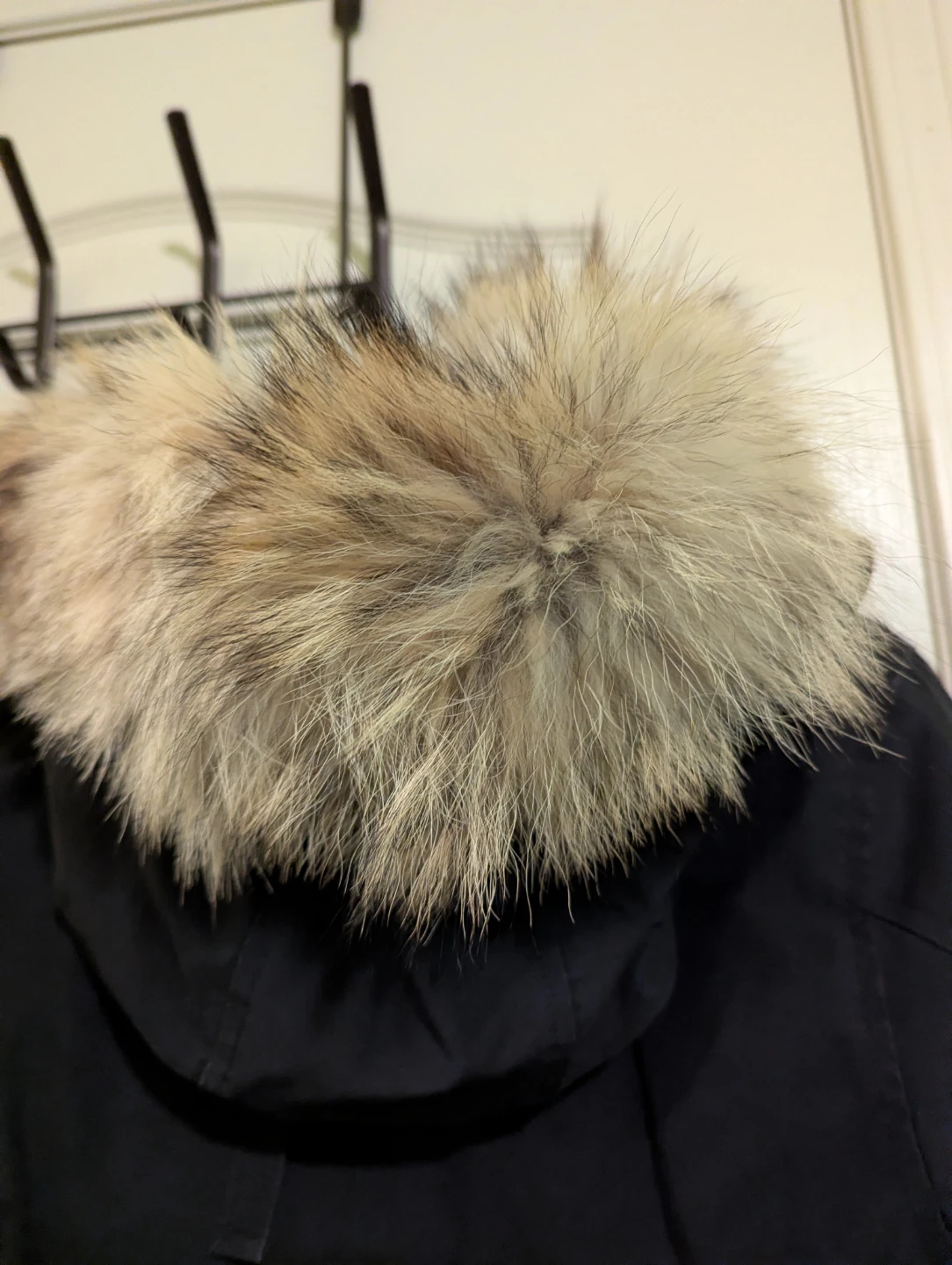 Canada Goose Parka - Navy - photo 5