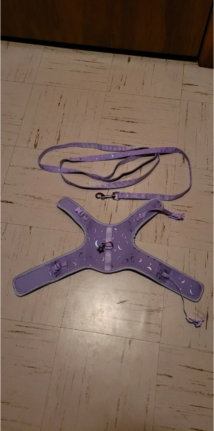 Cat Harness with matching Leash