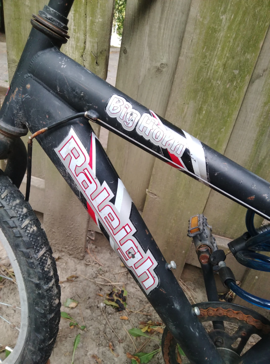 Raleigh Big Horn Kids Bike - photo 2