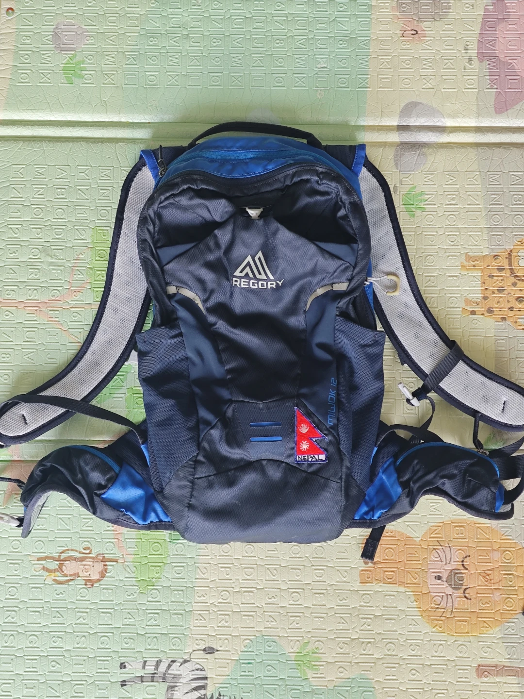 Gregory Miwok 12 Backpack