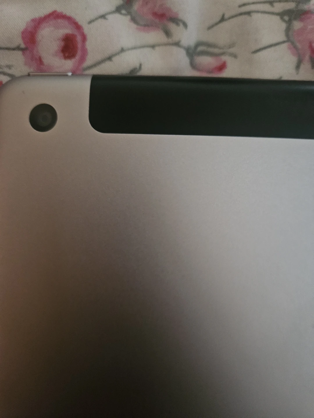 Apple iPad Silver - photo 5